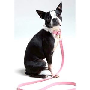 Oscar De La Renta x NM x Target Leather Dog Collar